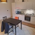 Rent 3 bedroom apartment of 85 m² in Bologna