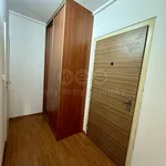 Rent 3 bedroom apartment of 64 m² in Libčice nad Vltavou