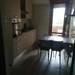 Rent 3 bedroom apartment of 100 m² in Padova