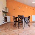 Rent 3 bedroom apartment of 80 m² in Avezzano