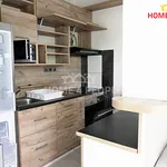 Rent 1 bedroom apartment in Brno