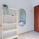 Rent a room in Torino