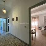 Rent 3 bedroom apartment of 65 m² in Latina