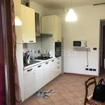 Rent 1 bedroom apartment of 20 m² in Torino