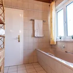 Rent 3 bedroom apartment of 75 m² in Nuremberg