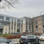 Huur 2 slaapkamer appartement van 57 m² in Laanhuizen