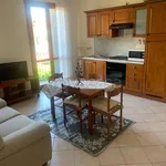 Rent 2 bedroom apartment of 60 m² in Treviolo