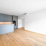 Pronajměte si 2 ložnic/e byt o rozloze 52 m² v Prague