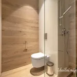 Pronajměte si 2 ložnic/e byt o rozloze 54 m² v Prague