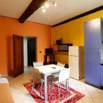 Rent 1 bedroom apartment of 45 m² in turin