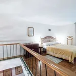 Rent 1 bedroom apartment in rome