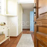 Rent 3 bedroom apartment of 65 m² in Bologna