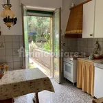 Rent 2 bedroom apartment of 73 m² in Genoa