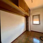 Affitto 5 camera appartamento di 109 m² in Palermo