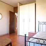 Rent a room of 50 m² in rome