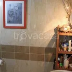 Rent 3 bedroom apartment of 67 m² in Pisa