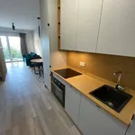 Rent 1 bedroom apartment of 35 m² in Lodz