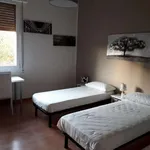 Rent a room in bologna