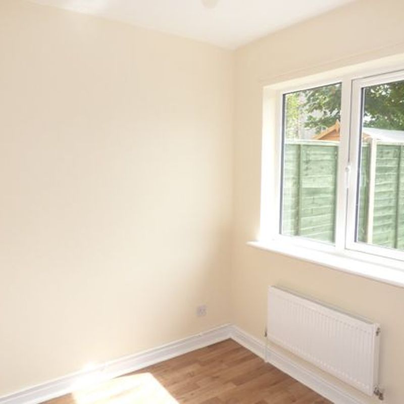 Terraced bungalow to rent in Compton Road, Colchester CO4 Hornestreet