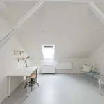 Rent a room of 113 m² in prague