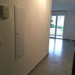 Appartement de 45 m² avec 2 chambre(s) en location à Penta-di-Casinca