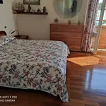 Rent 3 bedroom apartment of 90 m² in Viareggio