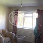 Rent 1 bedroom flat in Derby