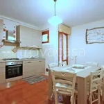 Rent 3 bedroom apartment of 75 m² in Rosignano Marittimo