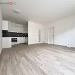 Pronajměte si 3 ložnic/e byt o rozloze 136 m² v Brno