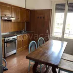 Rent 4 bedroom apartment of 110 m² in Padova