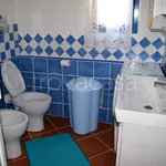 Rent 3 bedroom apartment of 75 m² in Olbia