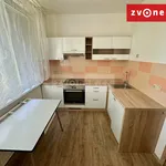 Rent 1 bedroom apartment in Zlín