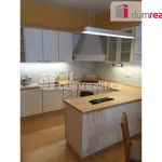 Rent 1 bedroom apartment of 45 m² in Praha