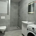 Rent 1 bedroom apartment of 34 m² in Hradec Králové