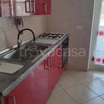 Rent 4 bedroom apartment of 80 m² in Ladispoli