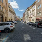 Rent 1 bedroom apartment of 32 m² in Praha 1 - Staré Město