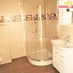 Rent 1 bedroom apartment of 26 m² in Chodov