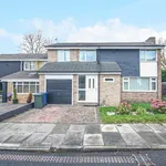 Rent 5 bedroom house in North East England