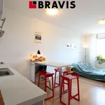 Rent 1 bedroom apartment of 29 m² in Brno