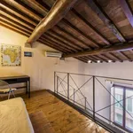 Rent 1 bedroom apartment in florence