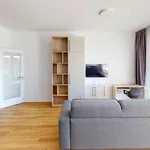 Pronajměte si 3 ložnic/e byt o rozloze 87 m² v Prague