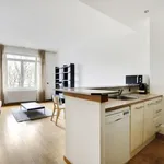 Rent 1 bedroom apartment of 377 m² in Paris