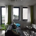 Miete 1 Schlafzimmer wohnung von 29 m² in Frankfurt