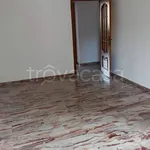 Rent 3 bedroom apartment of 85 m² in Torino