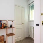 Rent 1 bedroom apartment in Bologna