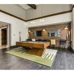 Rent 1 bedroom apartment in Plano