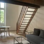 Appartement de 50 m² avec 1 chambre(s) en location à Lyon