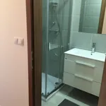 Pronajměte si 1 ložnic/e byt o rozloze 54 m² v Prague