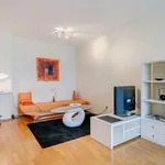 Rent 2 bedroom apartment of 62 m² in Prague