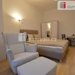 Rent 1 bedroom apartment in Capital City of Prague